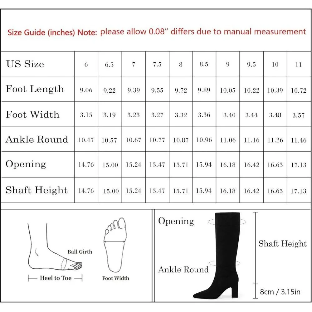 Women Black Chunky Heel Pointed Toe Side Zipper Fall Dressy Comfortable Boots